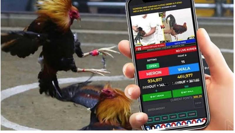 SV388 🎖️ SV 388 link vào trực tiếp đá gà thomo sv388 casino Việt Nam 14 Đá Gà Online Có Bị Bắt Không? Sự Thật Không Phải Ai Cũng Biết