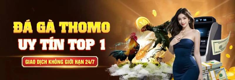 SV388 🎖️ SV 388 link vào trực tiếp đá gà thomo sv388 casino Việt Nam 2 SV388 Là Gì? – Tổng Quan Về Nhà Cái Đá Gà Số 1